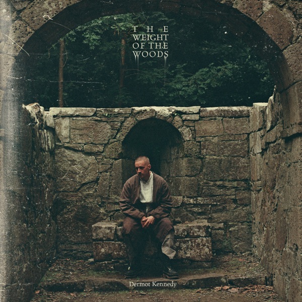 The Weight of the Woods artwork